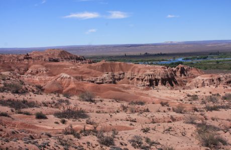 Sitio Paleontológico: Bajada Colorada (Neuquén)